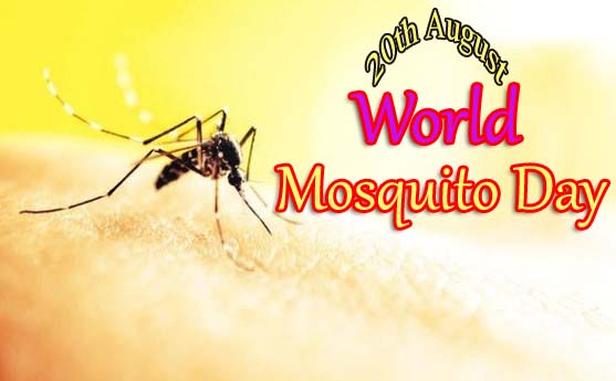 20th August 2019 - World Mosquito Day