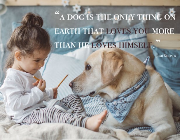 Best Inspirational National Dog Day Quotes 2022