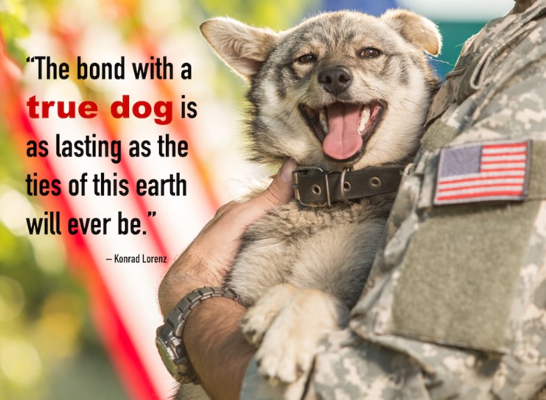 Best National Dog Day Quotes 2019