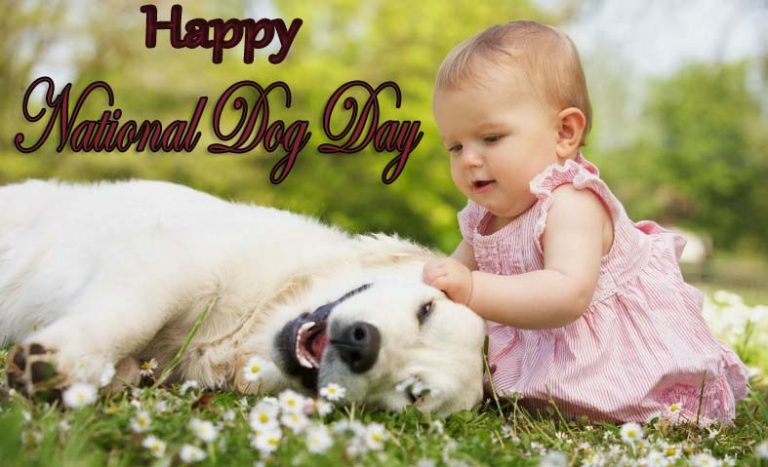 Happy National Dog Day 2022 Images, Pictures, Photos, Pic & Wallpaper