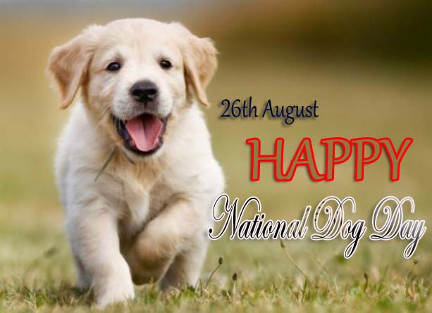 26 August - National Dog Day 2022
