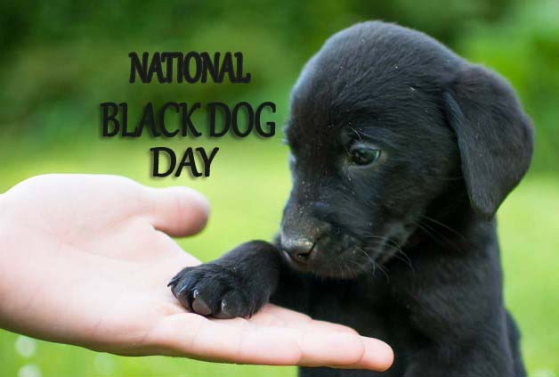 National Black Dog Day 2022