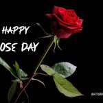 Happy Rose Day 2023