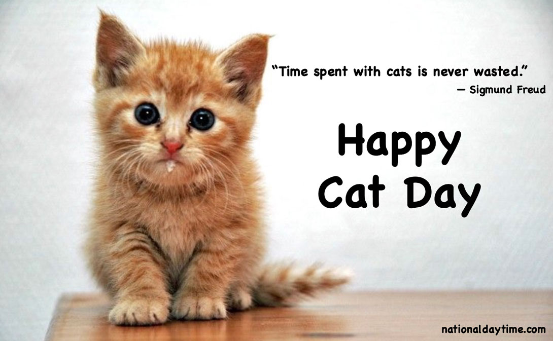 Happy National Cat Day Quotes 2022