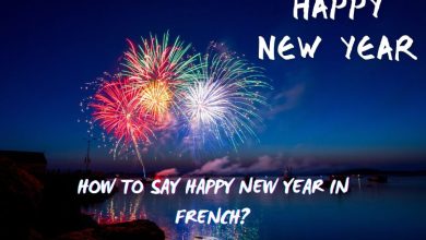 How do you say Happy New Year in French