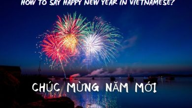 How to say Happy New Year in Vietnamese