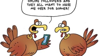 cartoon hilarious funny thanksgiving memes 2024